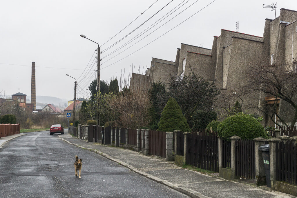 Domy szeregowe, Bielawa